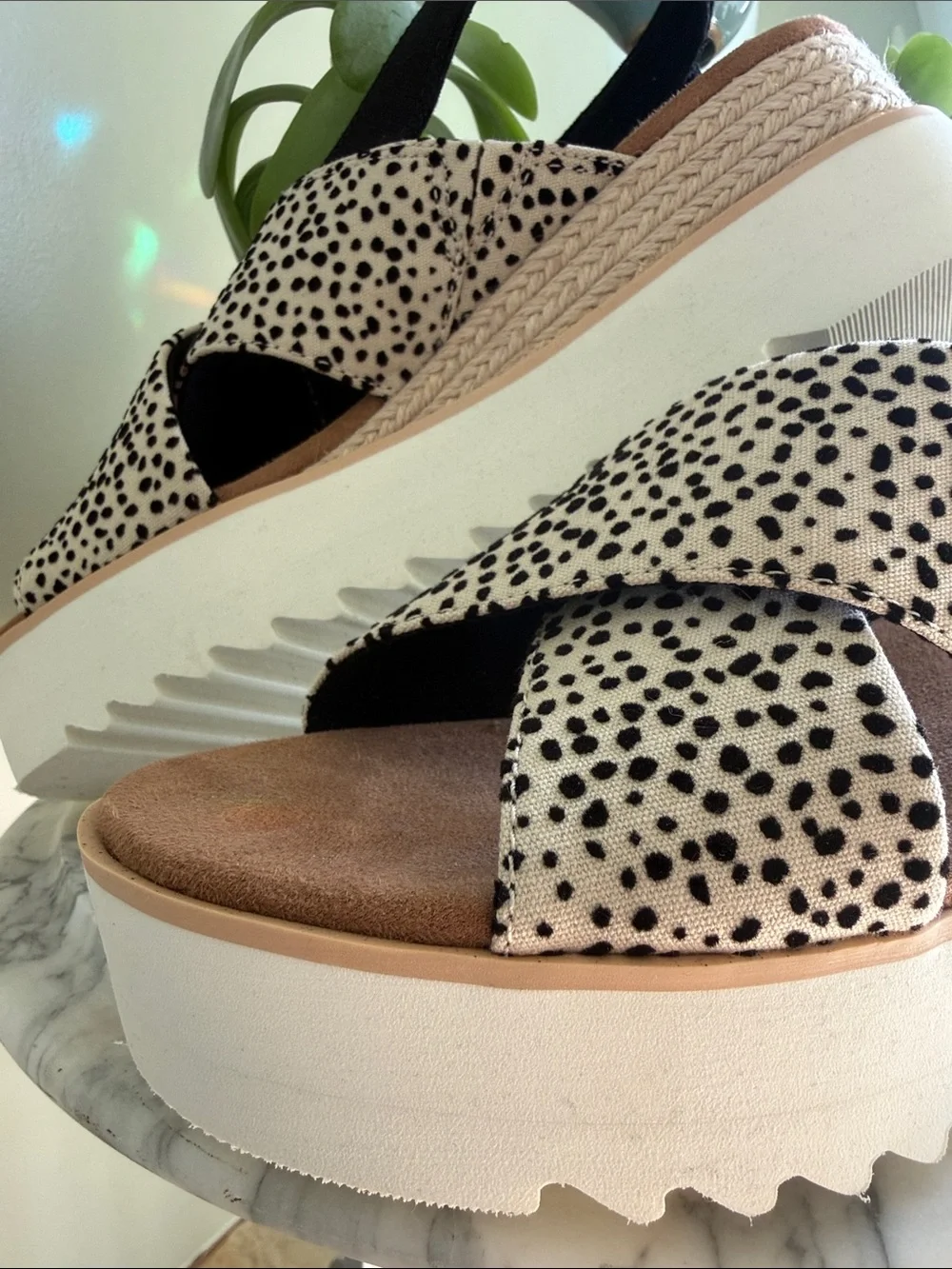 TOMS Leopard-Print Crisscross Slingback Sandals in Black and Cream - Picture 6 of 7